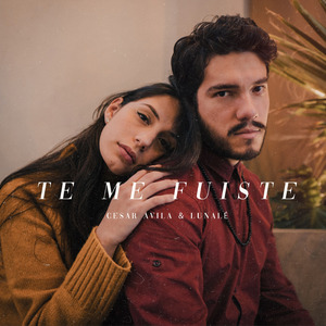 Te Me Fuiste