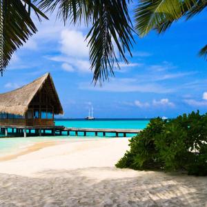 计划投入方宇杰