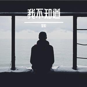 我不知道demo