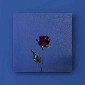 千秋月国色天香