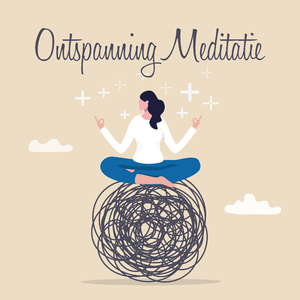 Regenachtige Ochtend in Het Bos