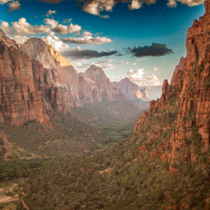 Meditation Field Of Essence