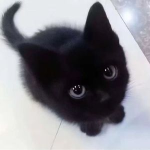 牵我手 带我走>_<