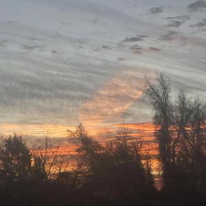 Down For Now (feat. Marku & 6moods)