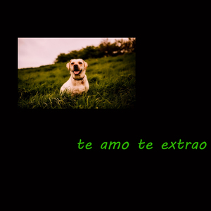Te amo te extrao