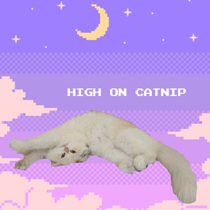 High on Catnip