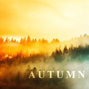 harvest (Original Mix)