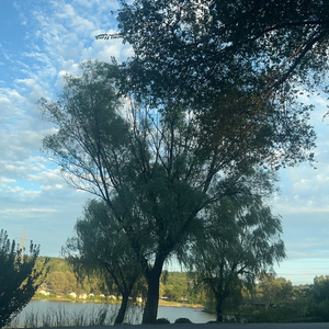 念旧的人困在回忆的牢