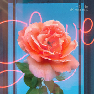 장미의 미소 (Inst.)