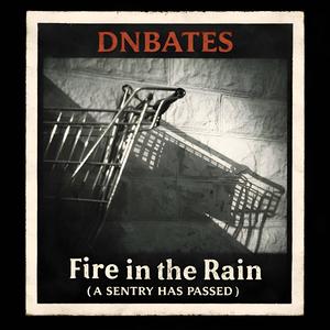 Fire in the Rain (A Sentry Has Passed)
