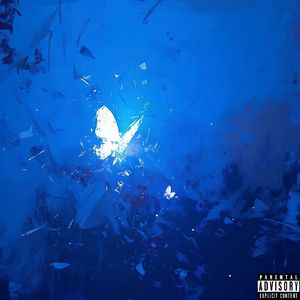 人生若只如初见