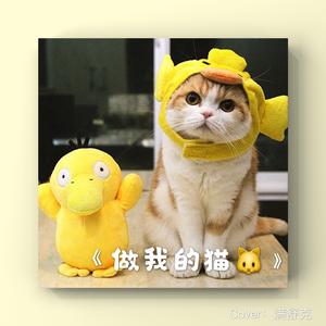 做我的猫