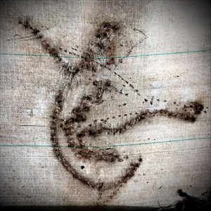 Driving the Wrong Way Home