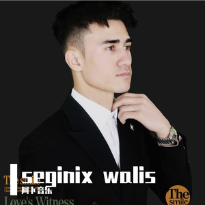 seginix walis 2024