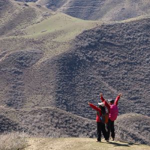 新疆的野马（伴奏）