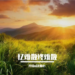 我不懂你放手