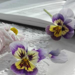 Tender Melancholic Piano Waltz (Original Motion Picture Soundtrack)