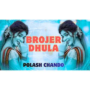 ব্রজের ধুলা DJ