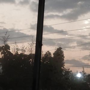 離影-十二月的风铃