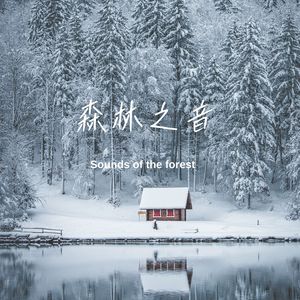 雪落松林的寂静 (钢片琴)