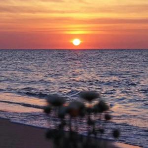 后来Remix(Prod By Maxone)