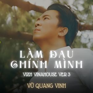Làm Đau Chính Mình (Vizh Vinahosue Version 3)