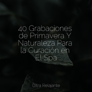 Anochecer En La Distancia