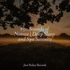 Mindsong Meditations