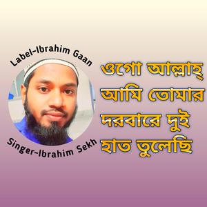 Ogo Allah Ami Tomar Dorbare Dui Hat Tulechi