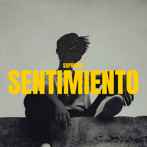 SENTIMIENTO
