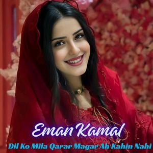 Dil Ko Mila Qarar Magar Ab Kahin Nahi