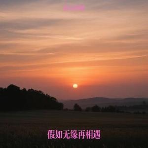 假如无缘再相遇