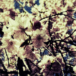 A Pit in a Hole in the Hollow Chasm