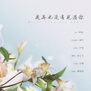 我再也没有见过你