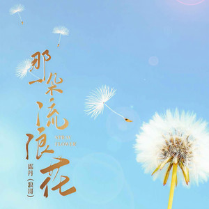 那一朵流浪花 (DJ沈念版)