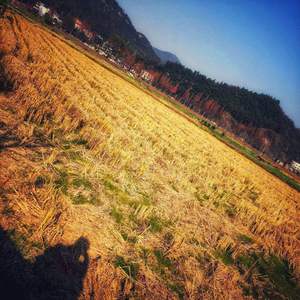 《东宫》初见（尺八）