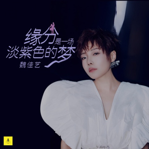 缘分是一场淡紫色的梦 (DJ小刚版)