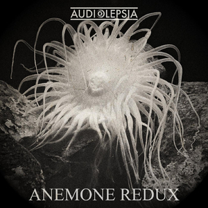 Anemone Redux