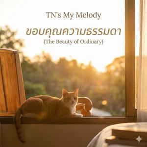 ขอบคุณความธรรมดา (The Beauty of Ordinary)