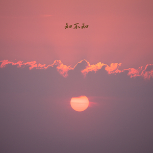 叶落归根 (小提琴)