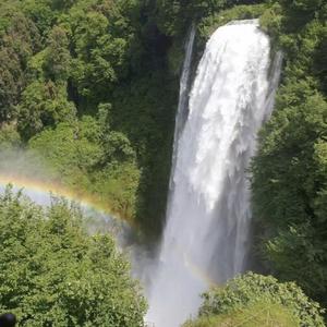 来者何人报上名来（DJ版）