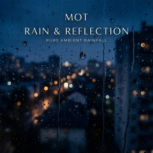 City Lights & Raindrops
