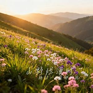 山野烂漫时