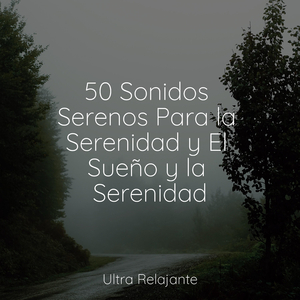 El Viento De Verano Sopla