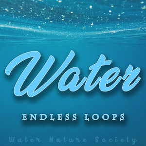 Lake Waves Endless Loop