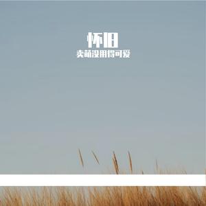 无缝衔接是你的本事念念不忘是我的无能