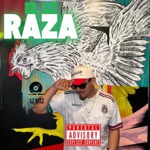 raZa (feat. Boyka)