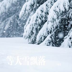 等大雪飘落