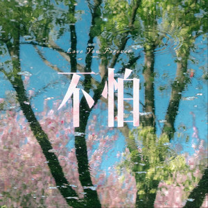 不怕（抖音原版）