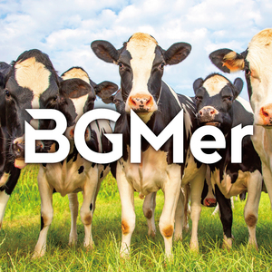 逃げられない！